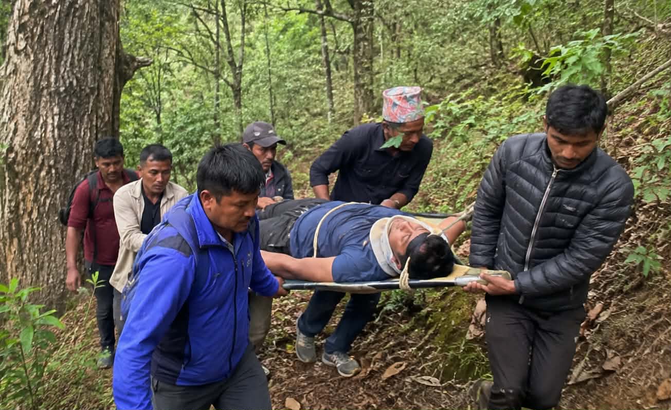रुकुममा अरिङ्गाल पोल्ने क्रममा रुखबाट खसेर एक जना घाइते