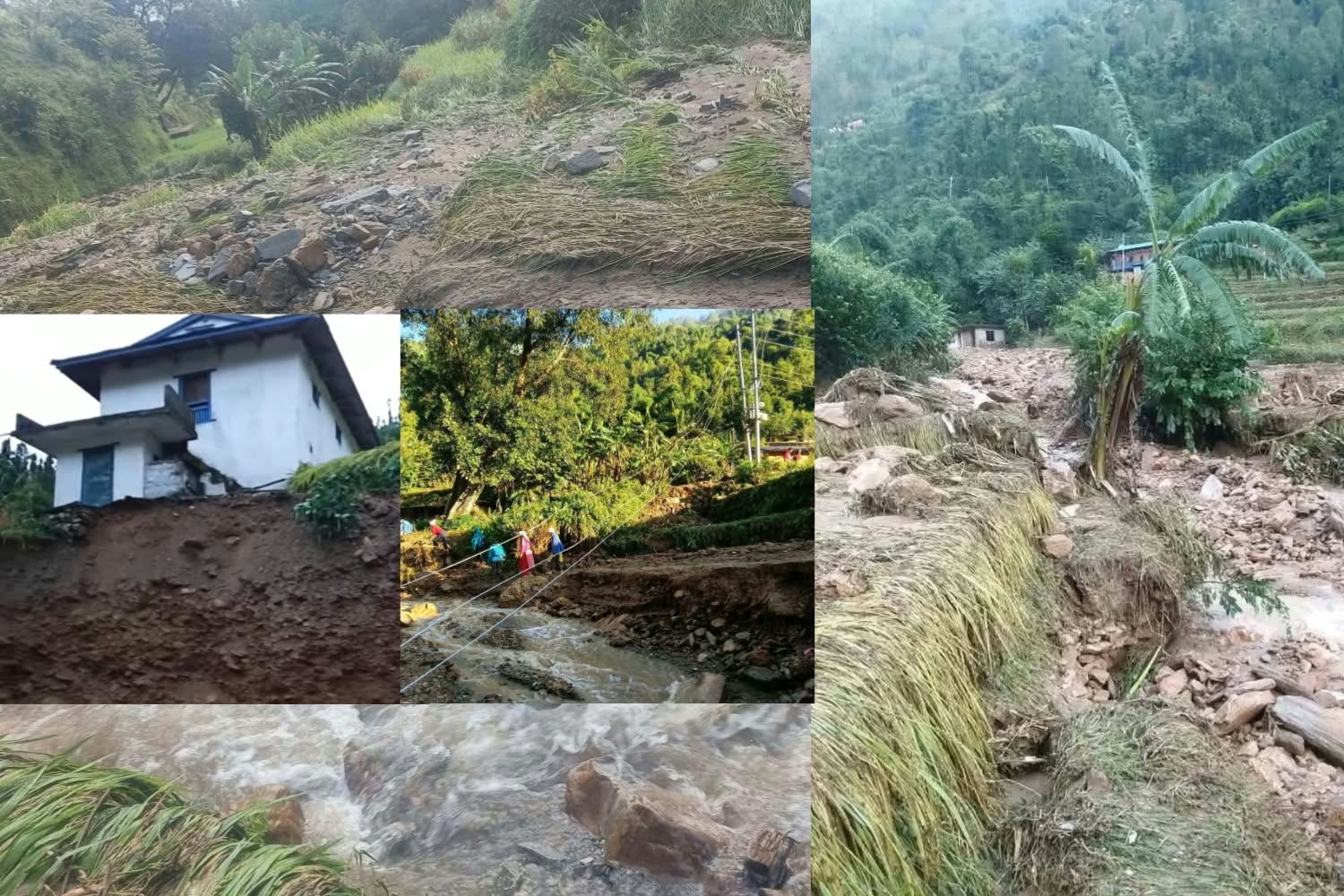 सानीभेरीमा बाढीले बगायो घर, पशुचौपाया, पानी घट्ट, किराना पसल र धानखेती