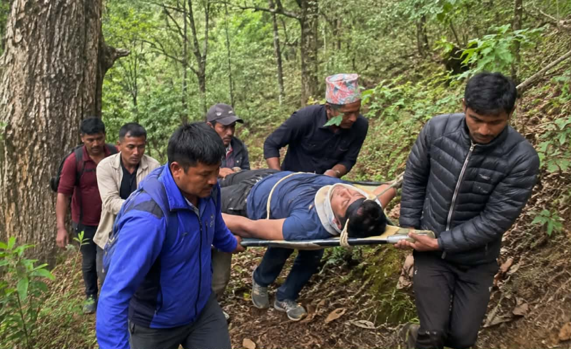 रुकुममा अरिङ्गाल पोल्ने क्रममा रुखबाट खसेर एक जना घाइते