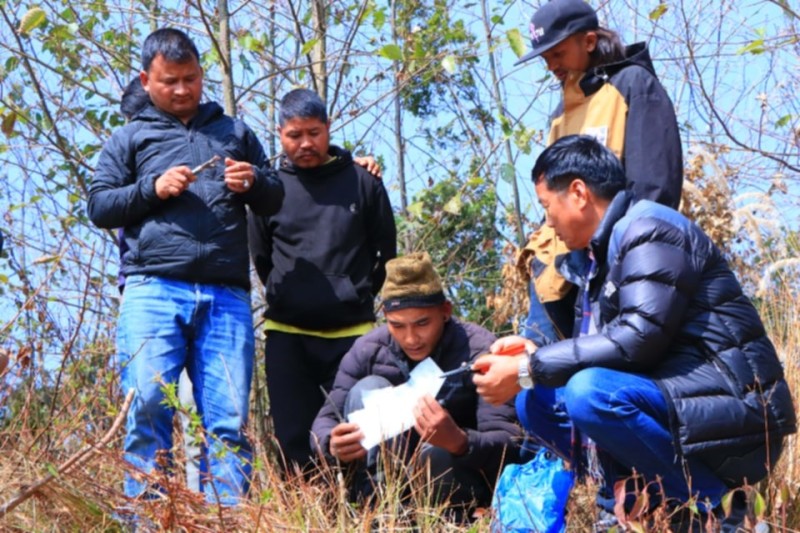 मुसिकोटमा मेलको बोटमा नासपाती कलमी गरिदैं 