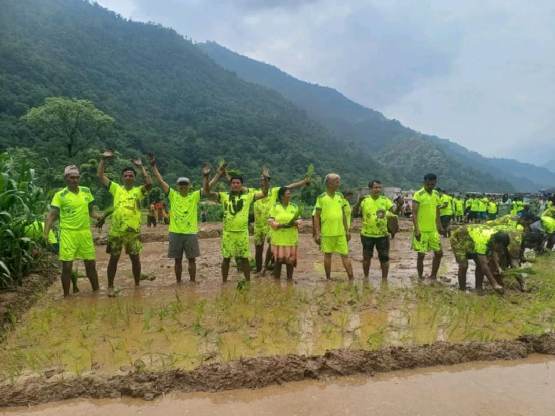 असार मध्यसम्म कर्णालीमा ३९ प्रतिशत रोपाइँ
