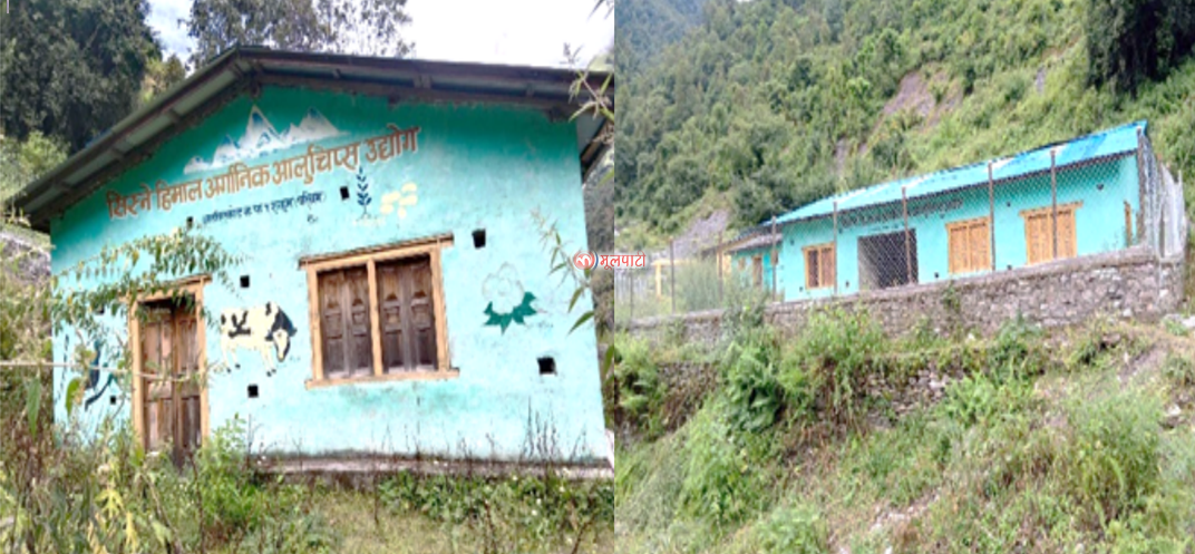 आठबिसकोटमा आर्गानिक आलुचिप्स उद्योगमा भएकाे ६३ लाख लगानी सदुपयोग भएन 