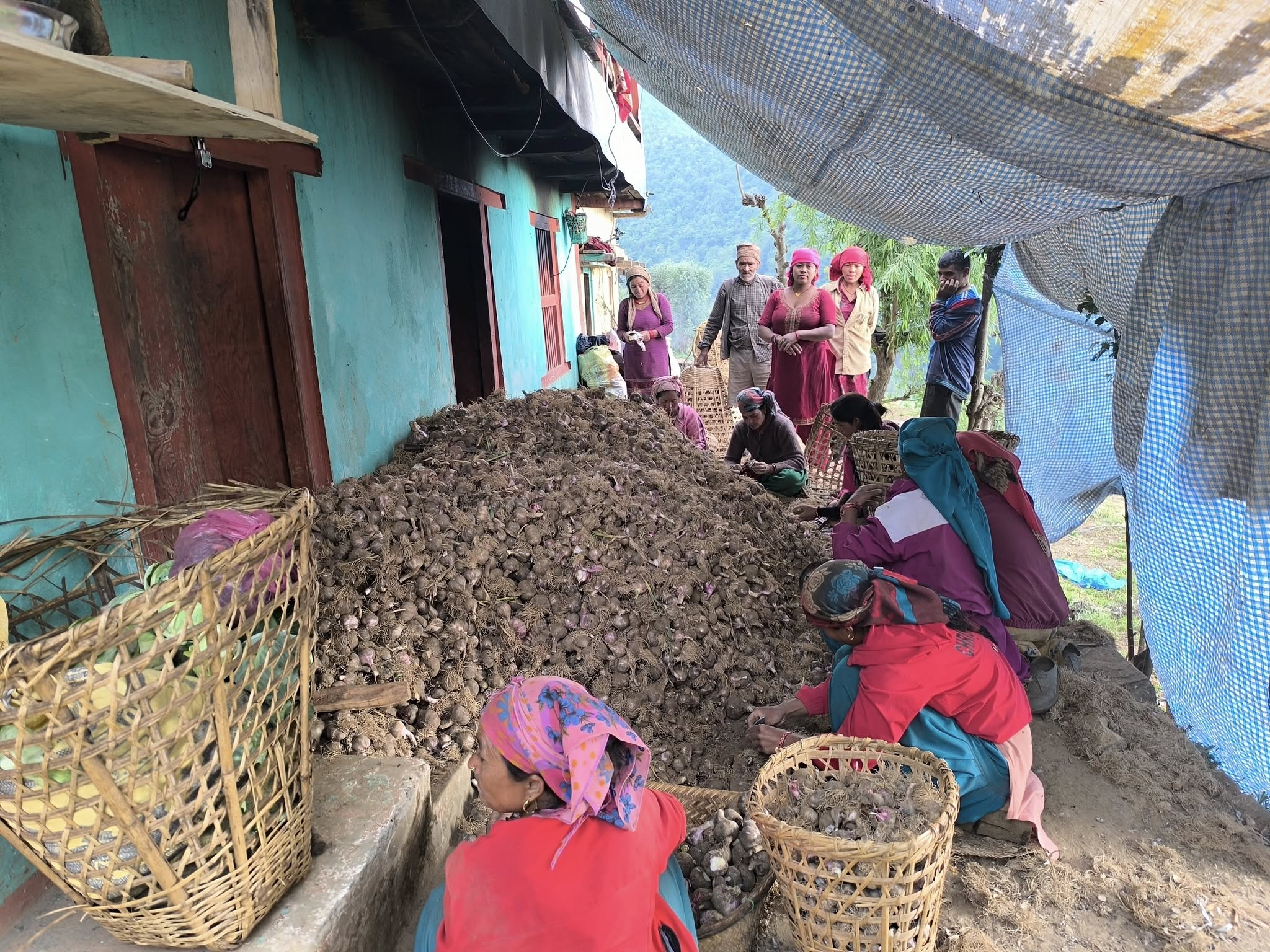 Lasun_Rukum_Raju-(2)-1747222941.jpg