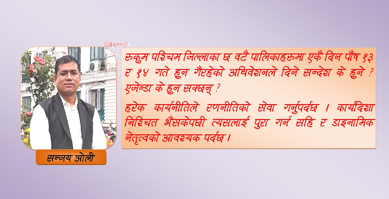 माओवादी समस्या, पालिका अधिवेशन र अवको नेतृत्व 