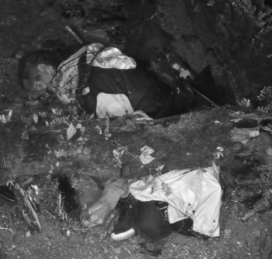 हावाहुरी चलेको बेला रुखकाे ओत लाग्न गएका सानीभेरीमा एक पुरुषको रुखले नै च्यापिएर मृत्यु